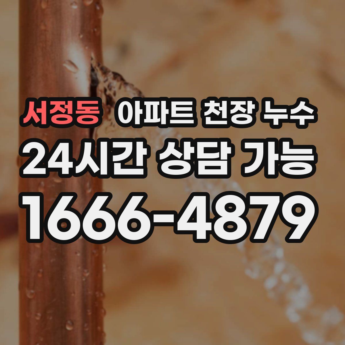 서정동 아파트 천장 누수