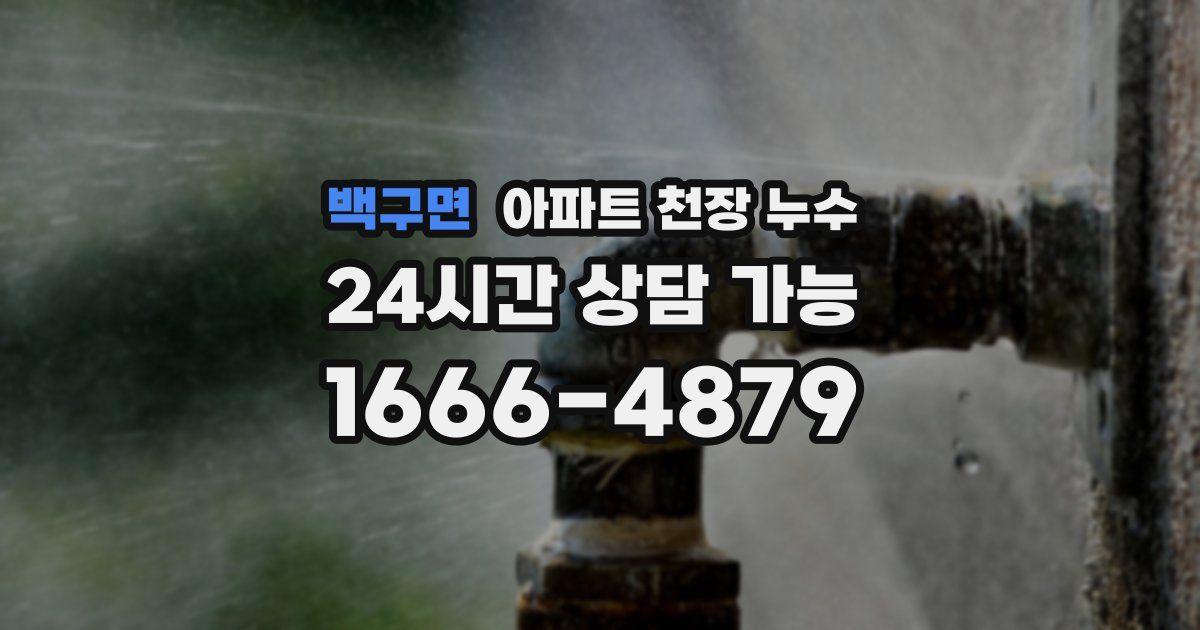 백구면 아파트 천장 누수