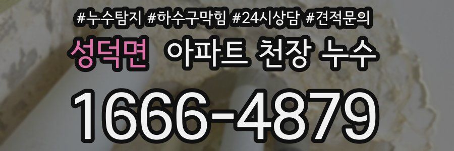 성덕면 아파트 천장 누수