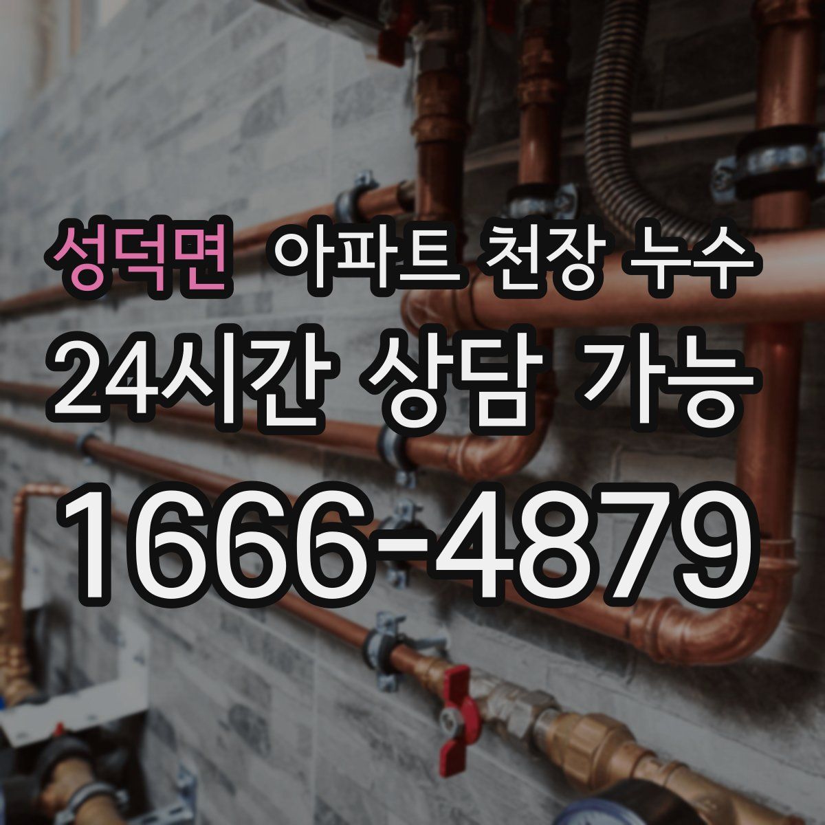 성덕면 아파트 천장 누수