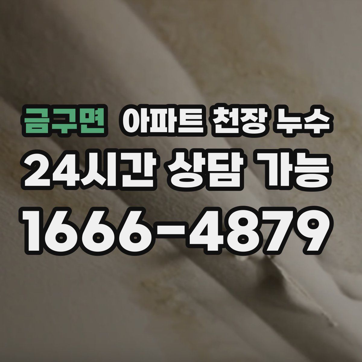 금구면 아파트 천장 누수