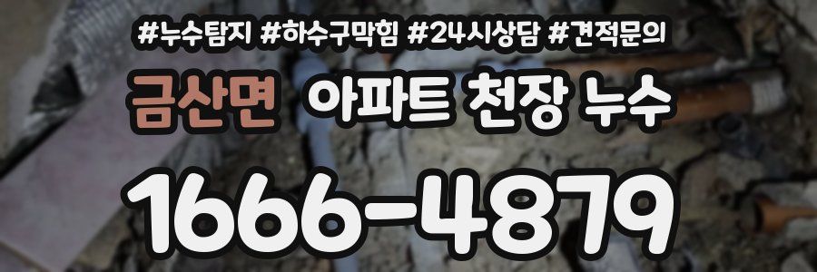 금산면 아파트 천장 누수