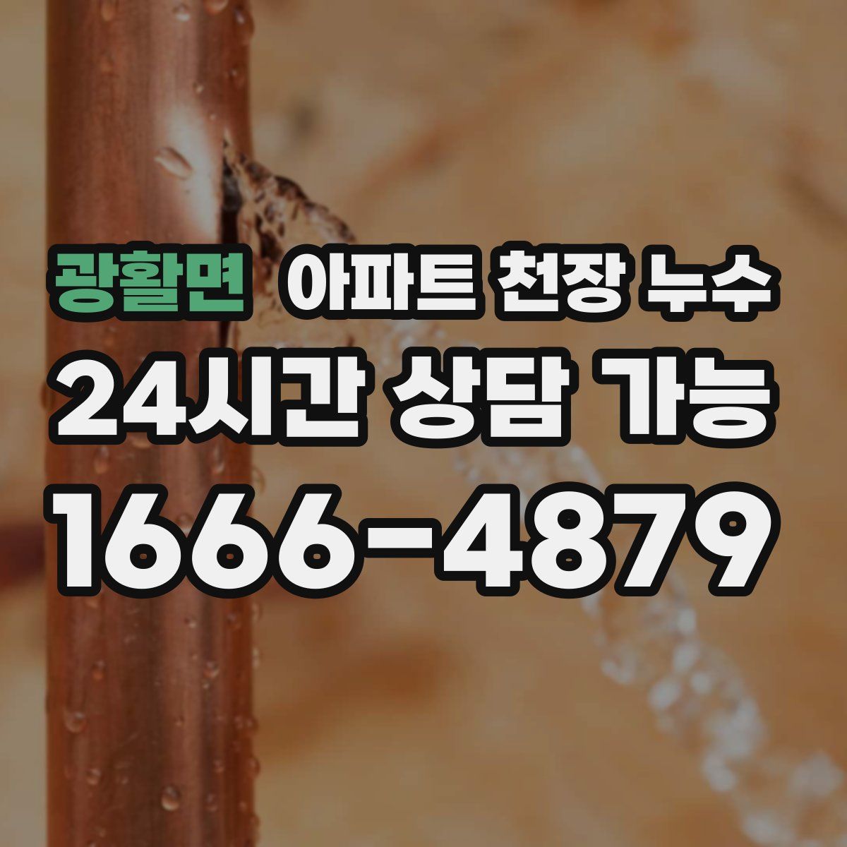광활면 아파트 천장 누수