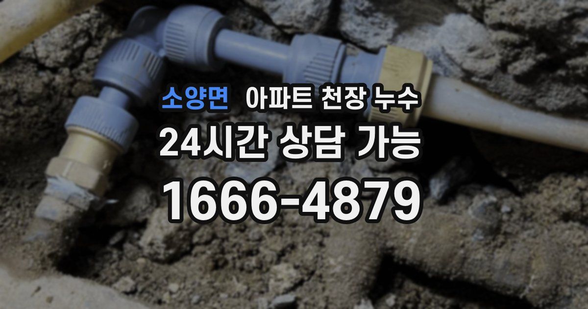 소양면 아파트 천장 누수