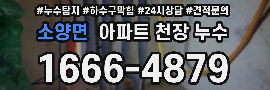 소양면 아파트 천장 누수