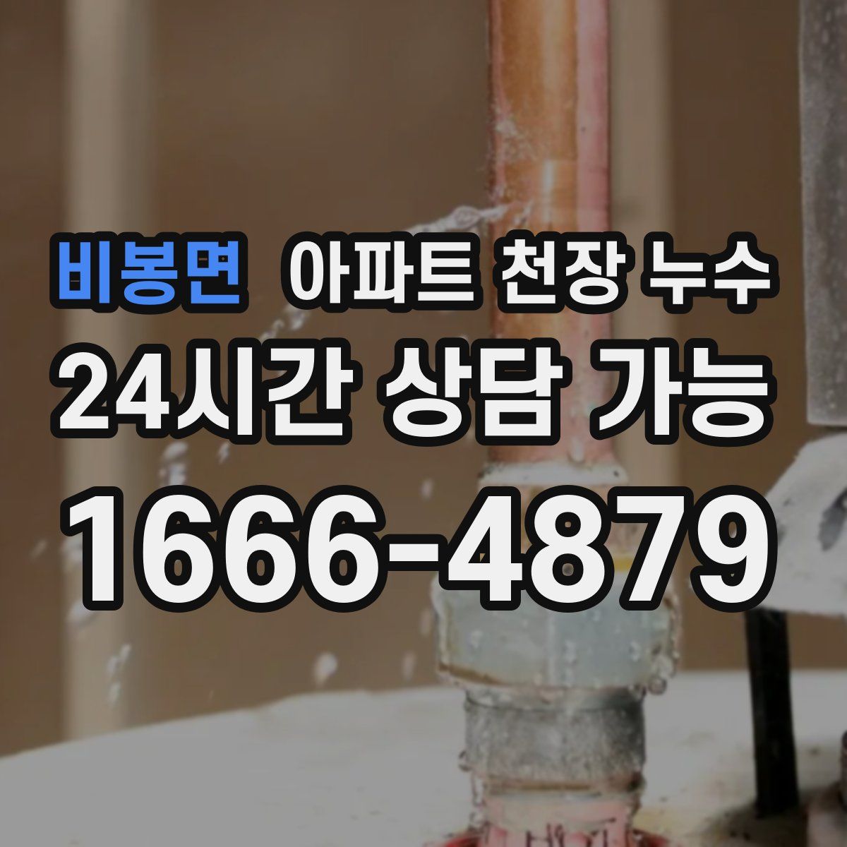 비봉면 아파트 천장 누수