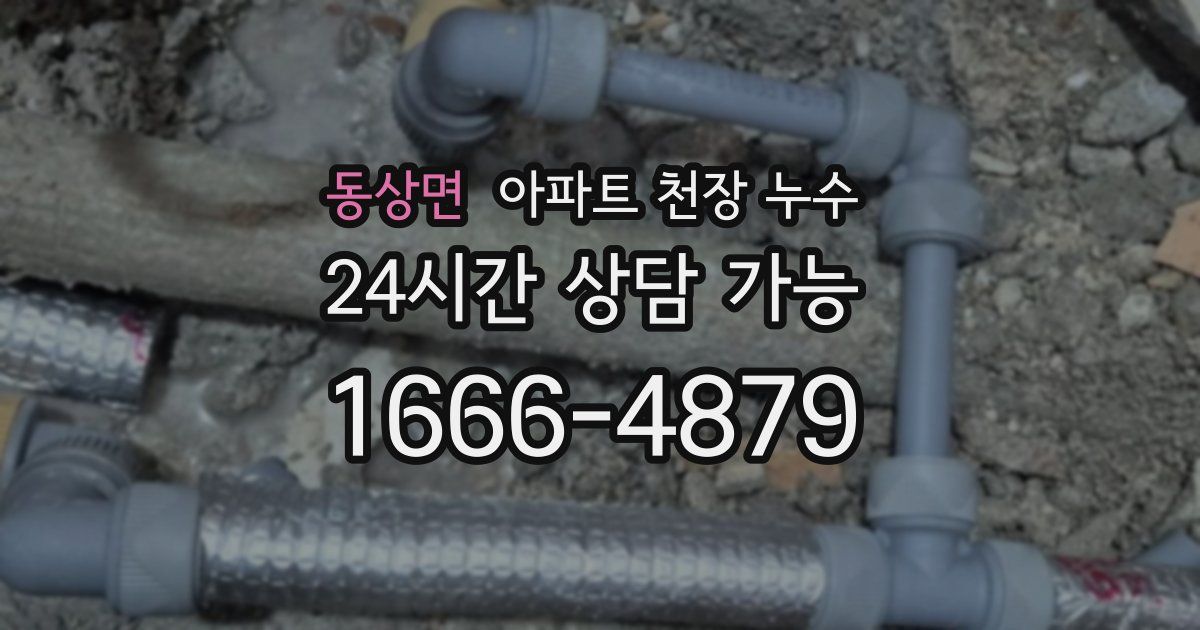 동상면 아파트 천장 누수