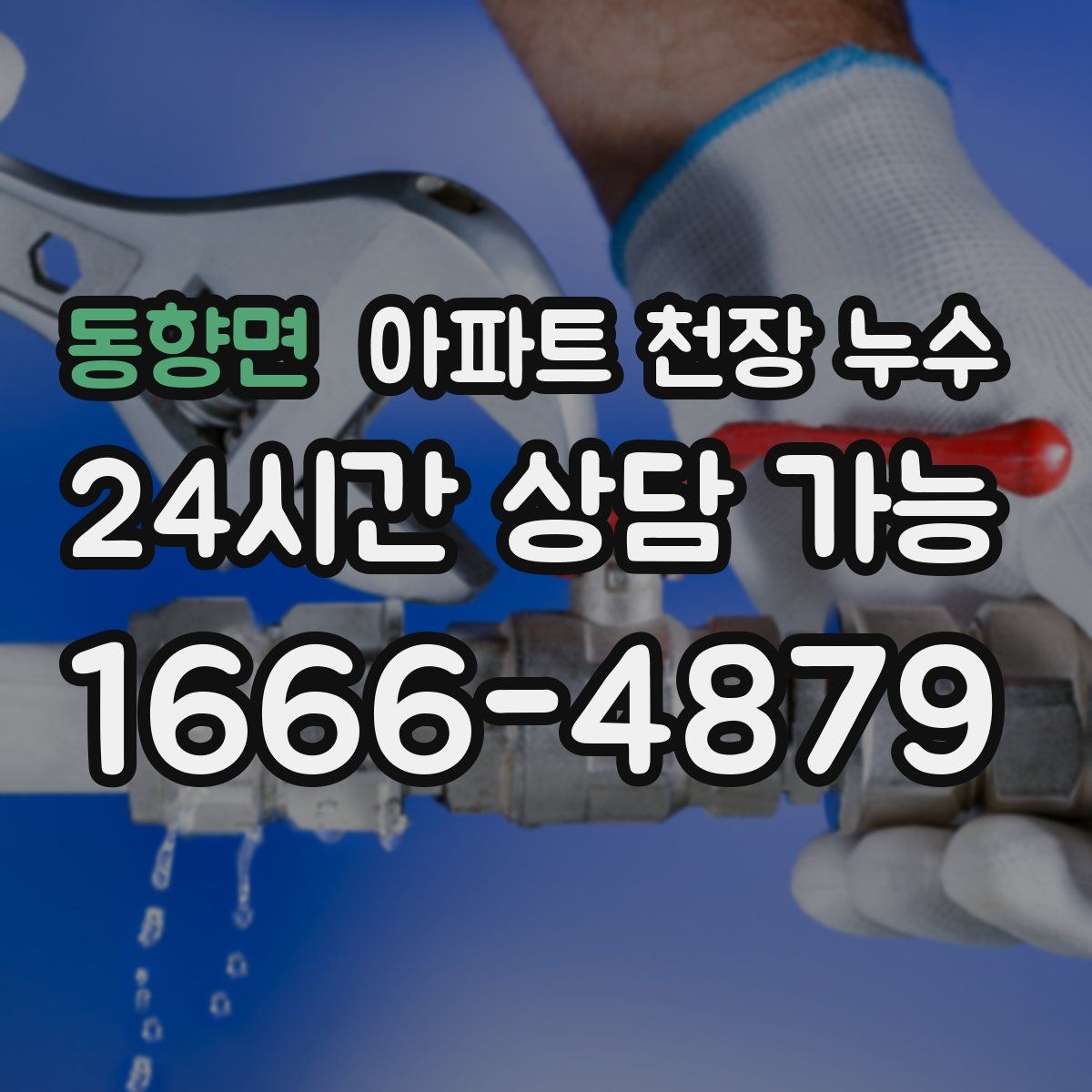 동향면 아파트 천장 누수
