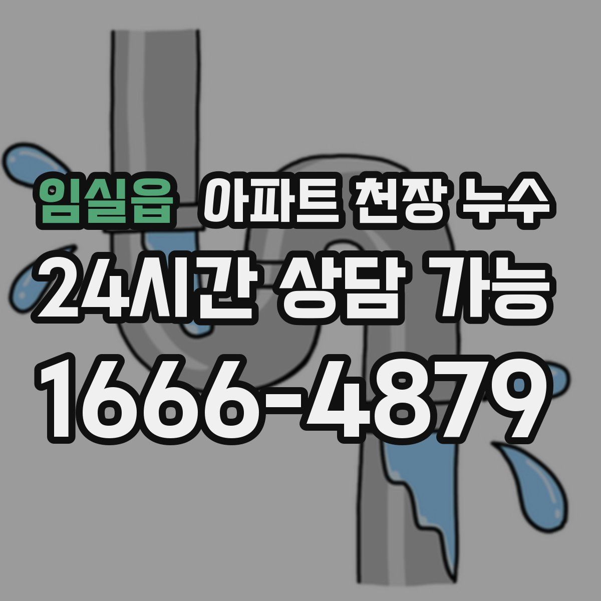임실읍 아파트 천장 누수
