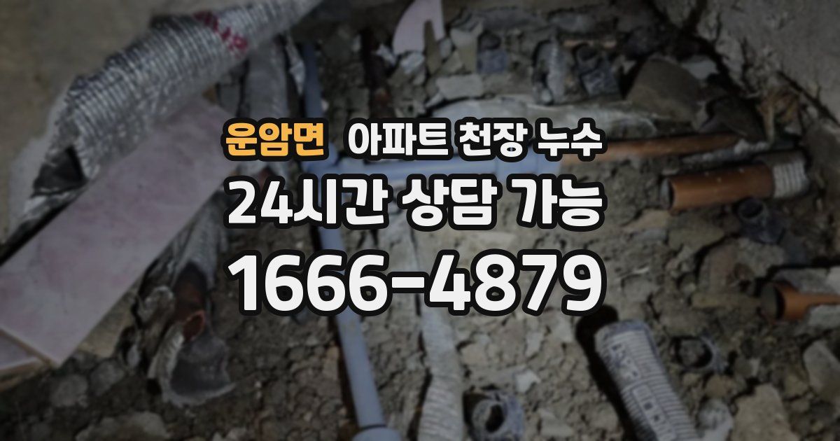운암면 아파트 천장 누수
