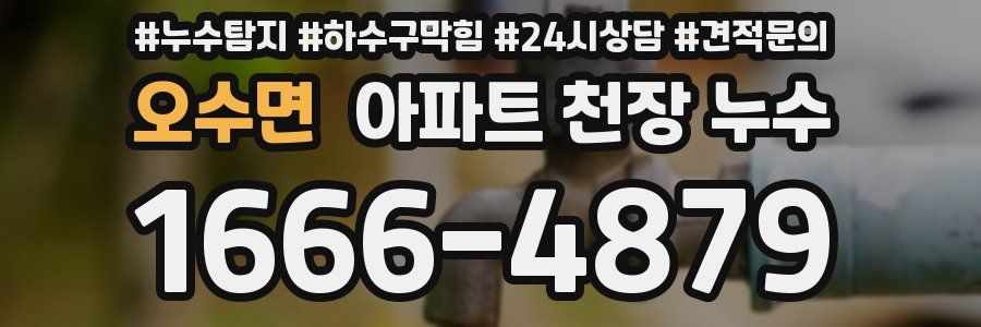 오수면 아파트 천장 누수