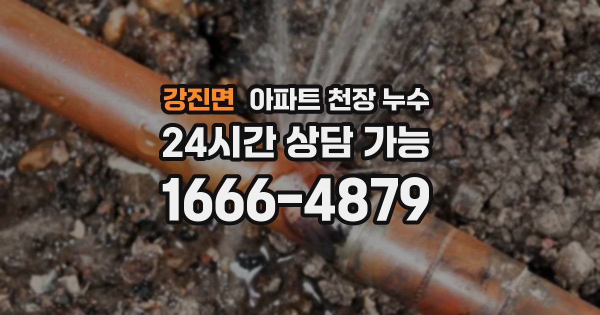 강진면 아파트 천장 누수