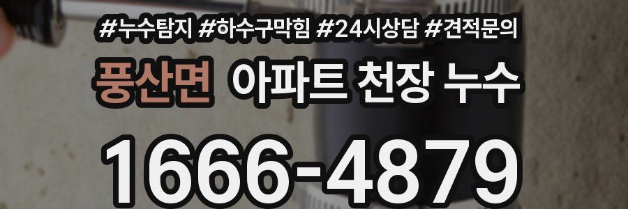풍산면 아파트 천장 누수