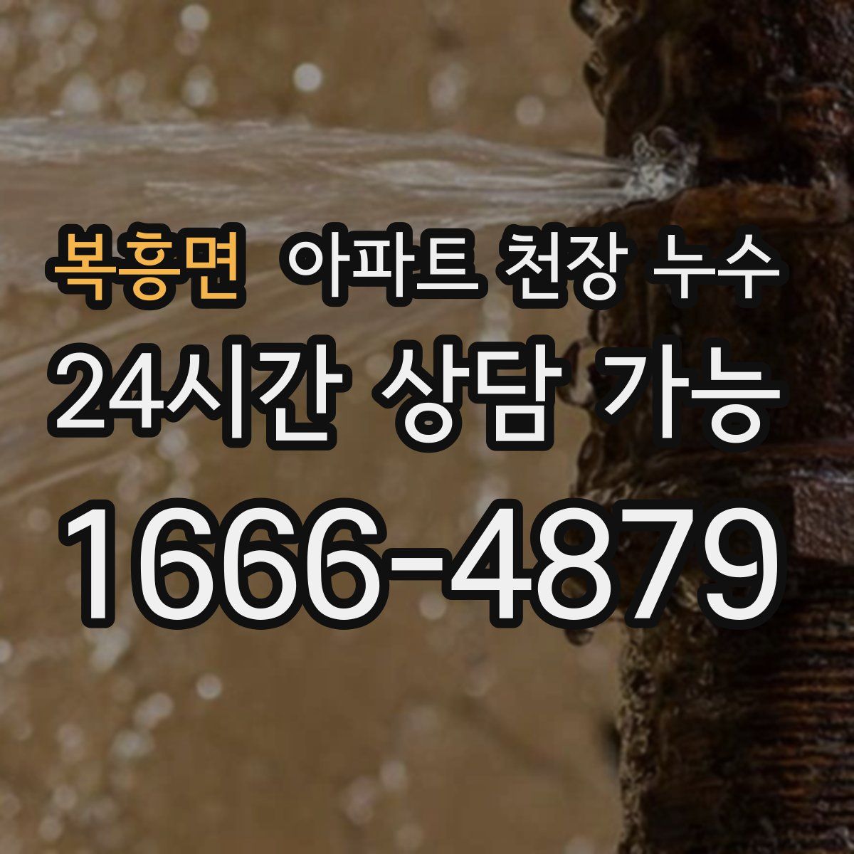 복흥면 아파트 천장 누수