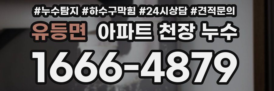 유등면 아파트 천장 누수