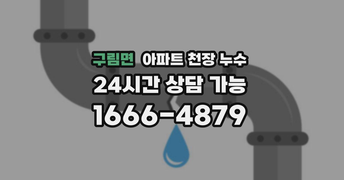구림면 아파트 천장 누수