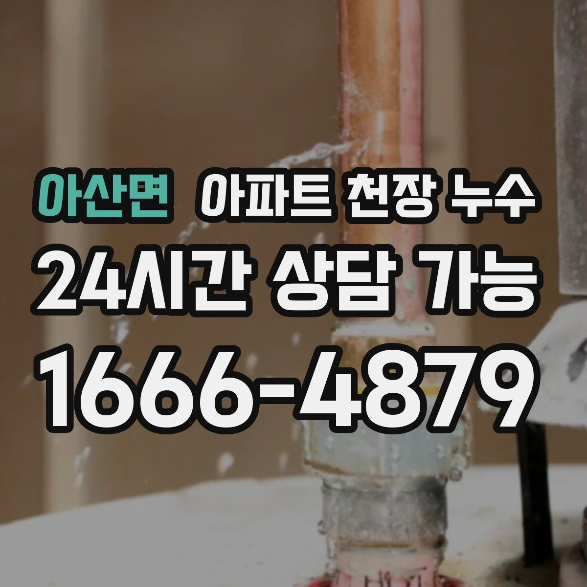 아산면 아파트 천장 누수