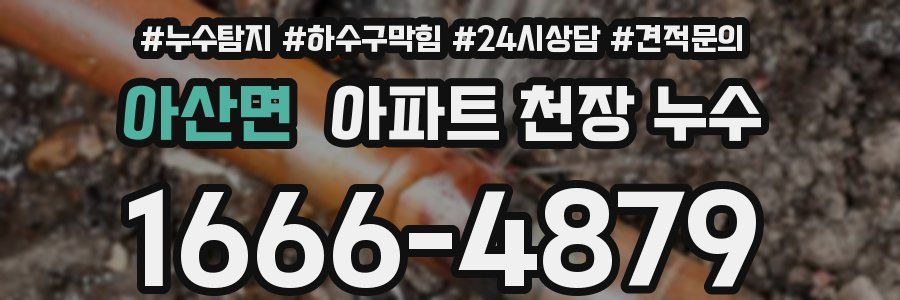 아산면 아파트 천장 누수