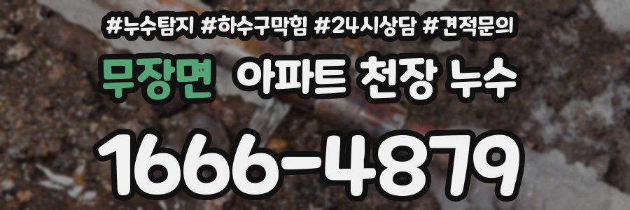 무장면 아파트 천장 누수