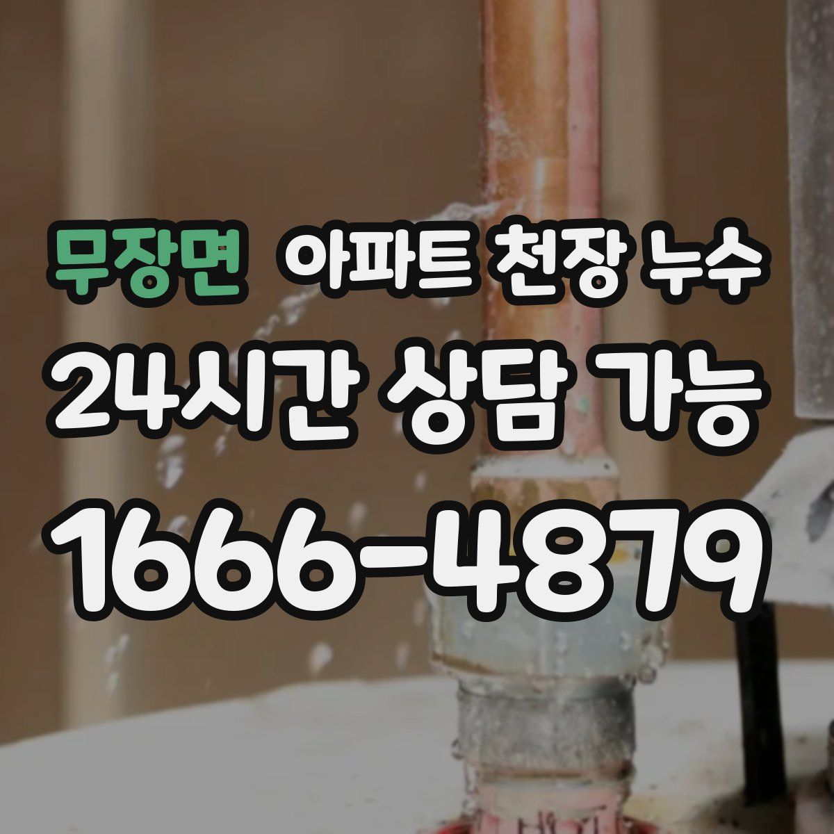 무장면 아파트 천장 누수