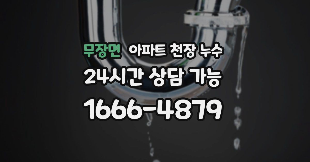 무장면 아파트 천장 누수