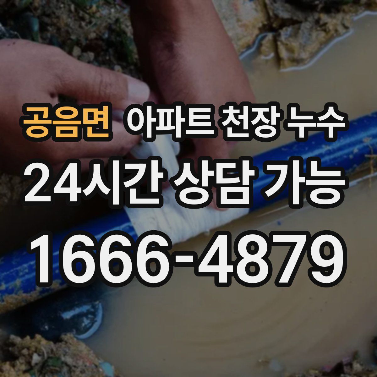 공음면 아파트 천장 누수