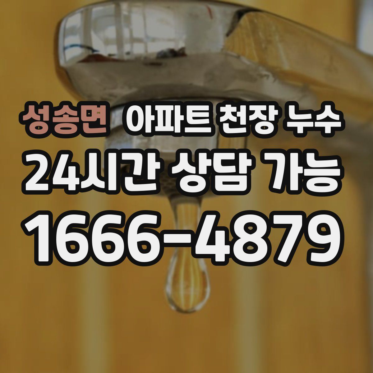 성송면 아파트 천장 누수