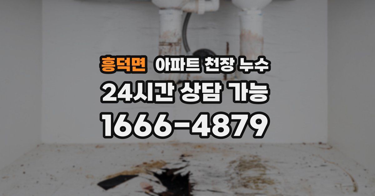 흥덕면 아파트 천장 누수