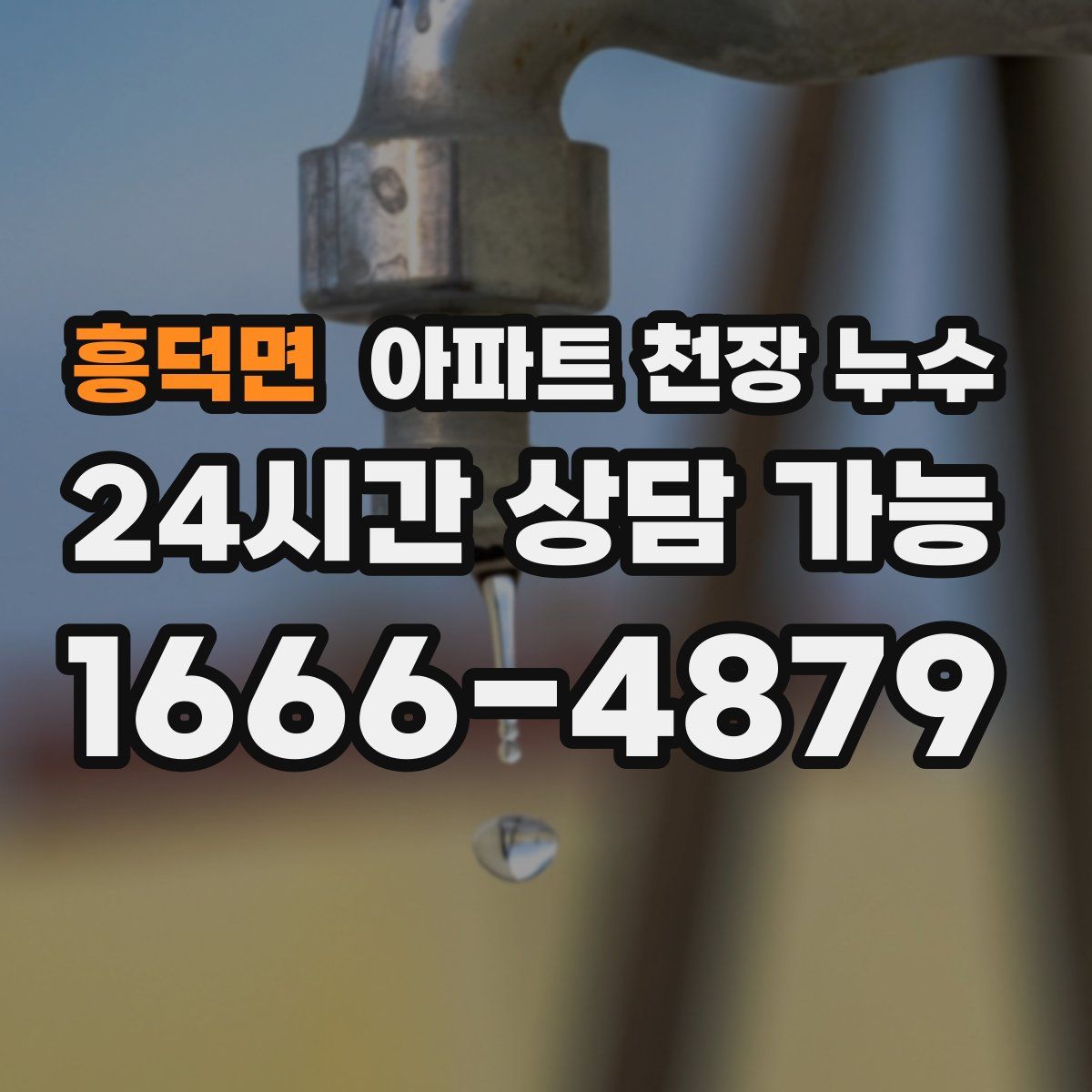 흥덕면 아파트 천장 누수