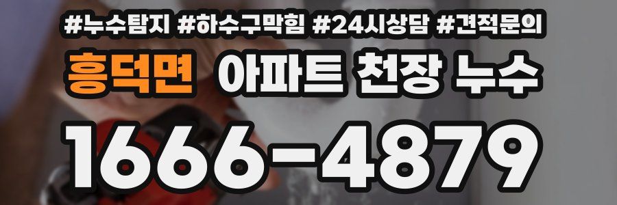 흥덕면 아파트 천장 누수