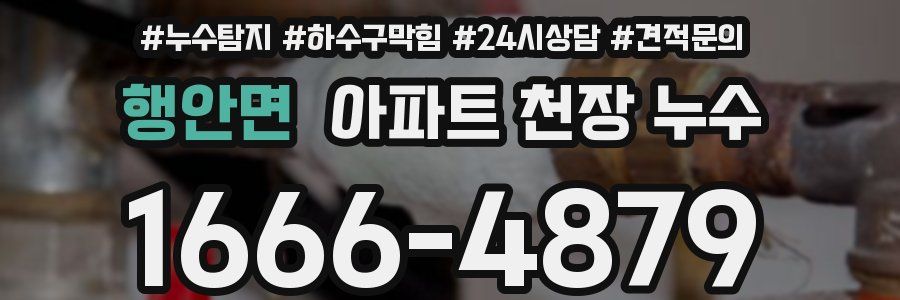 행안면 아파트 천장 누수