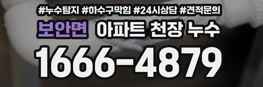 보안면 아파트 천장 누수