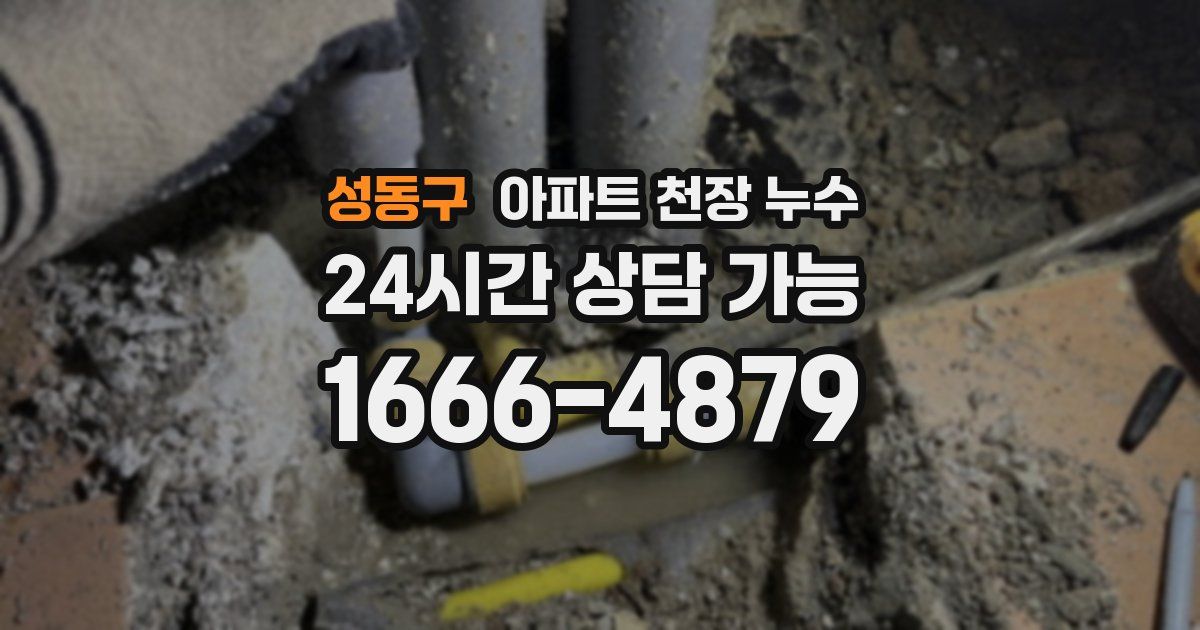 성동구 아파트 천장 누수