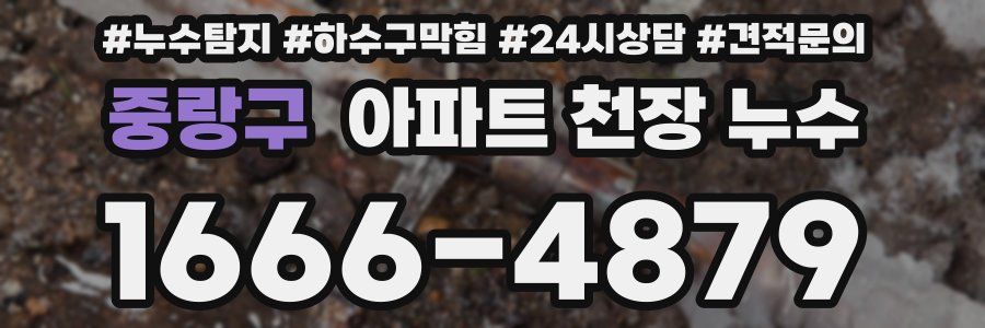 중랑구 아파트 천장 누수