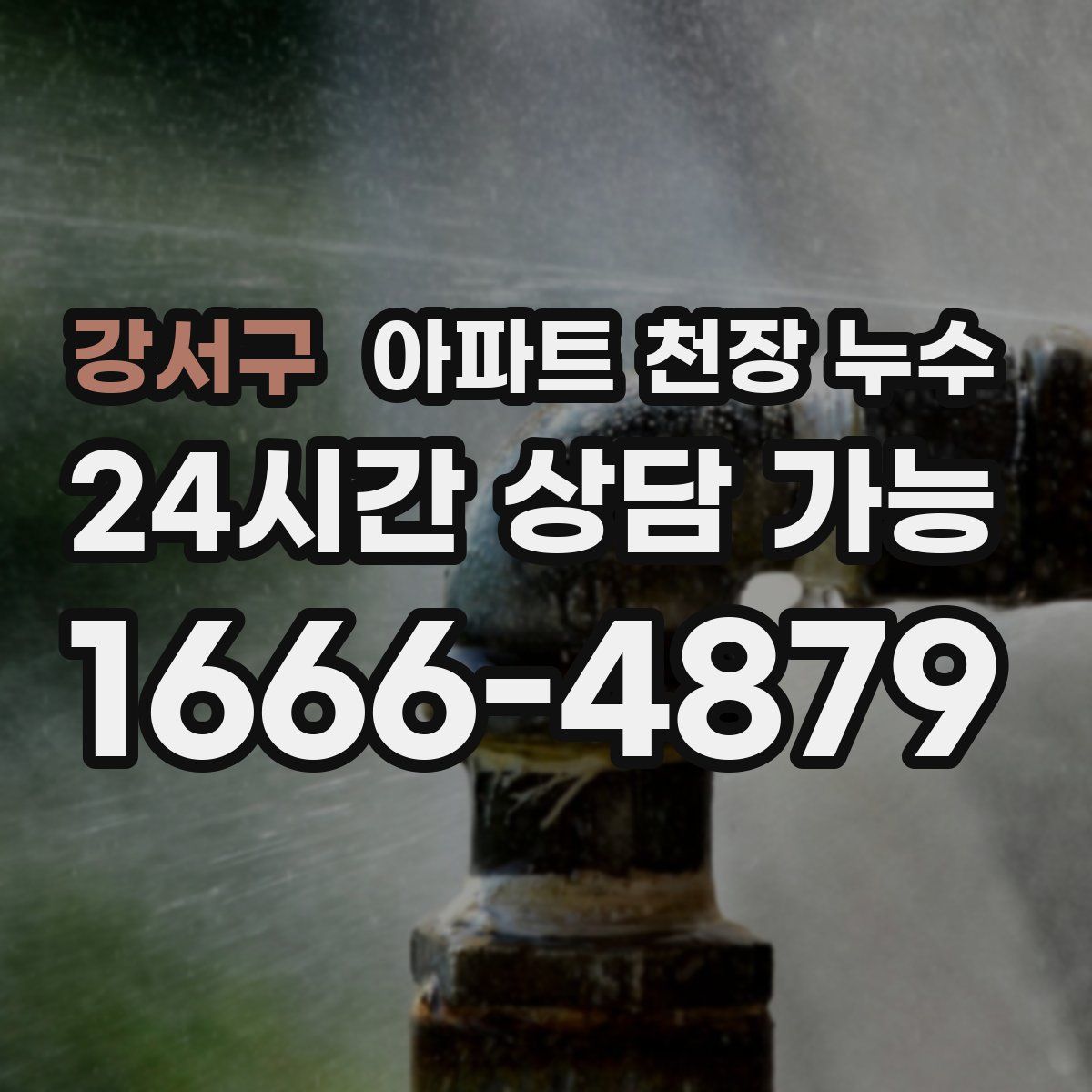 강서구 아파트 천장 누수