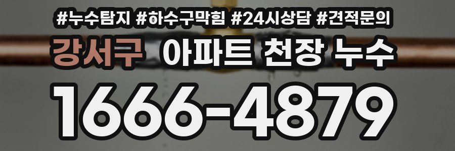 강서구 아파트 천장 누수