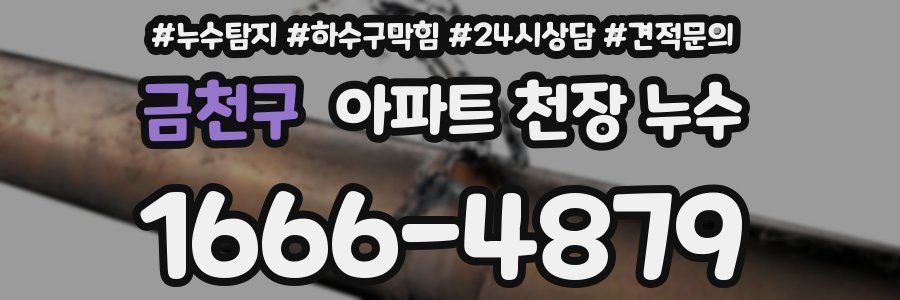 금천구 아파트 천장 누수