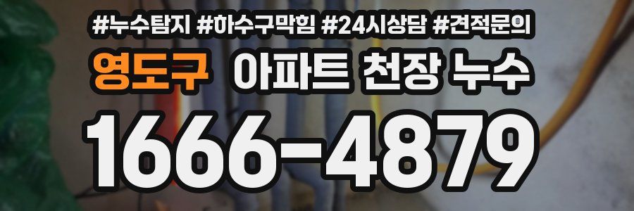 영도구 아파트 천장 누수