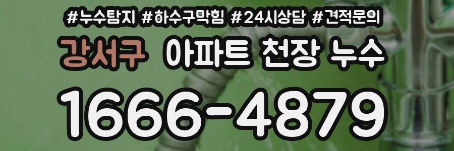 강서구 아파트 천장 누수