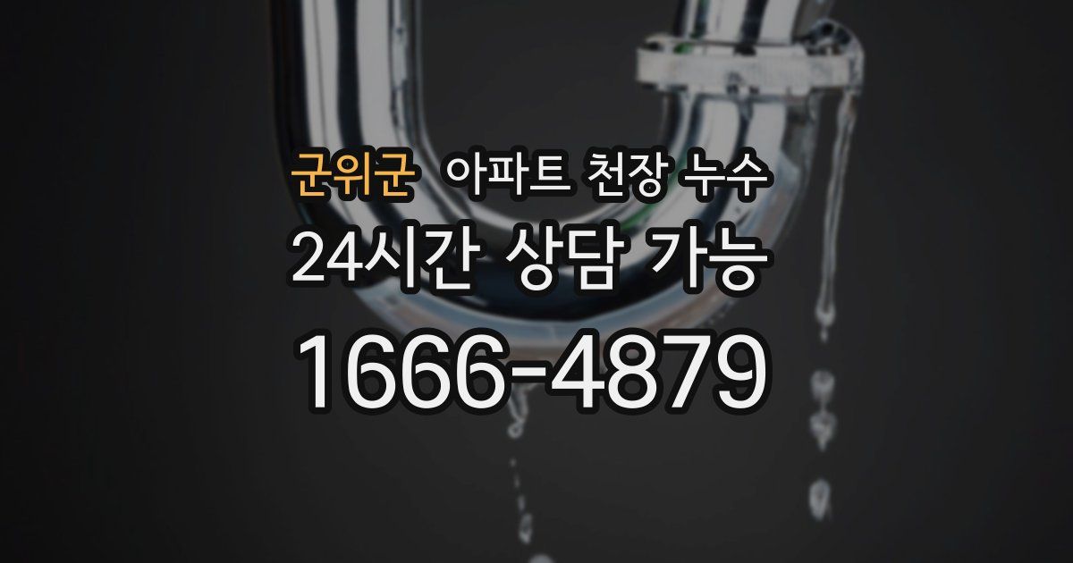 군위군 아파트 천장 누수