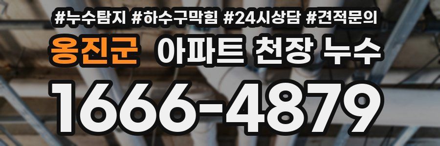 옹진군 아파트 천장 누수
