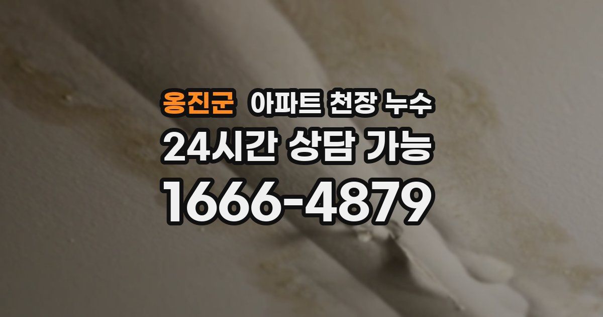 옹진군 아파트 천장 누수
