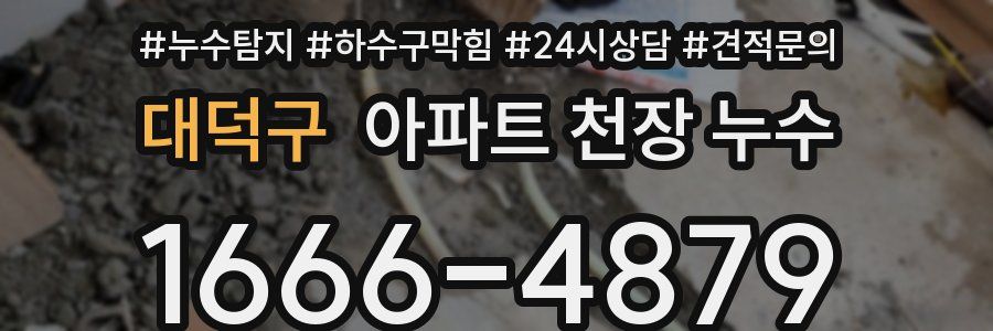 대덕구 아파트 천장 누수