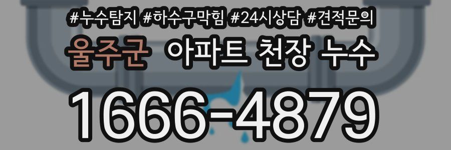 울주군 아파트 천장 누수