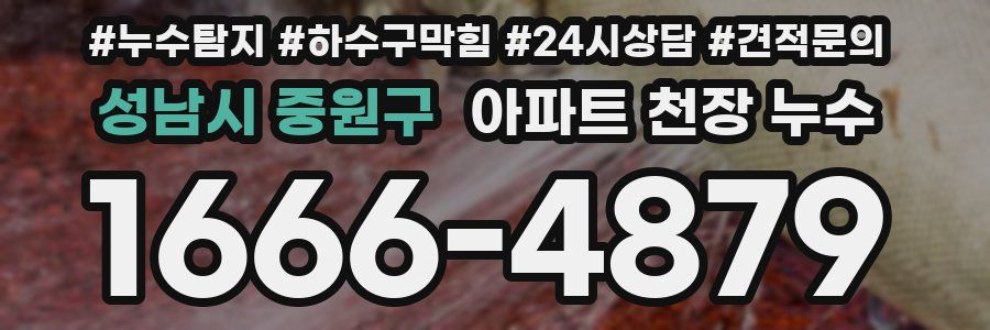 성남시 중원구 아파트 천장 누수