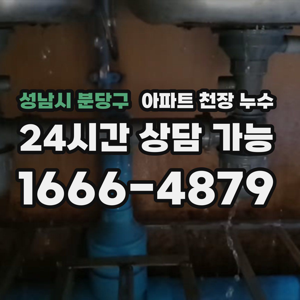 성남시 분당구 아파트 천장 누수