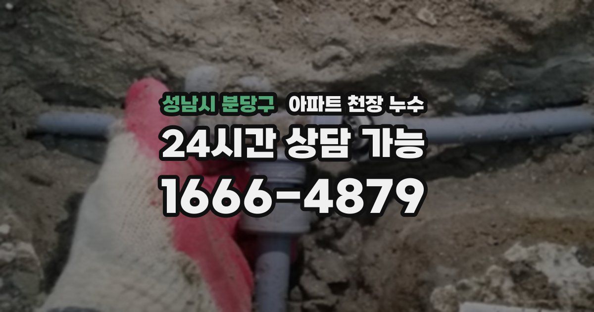성남시 분당구 아파트 천장 누수