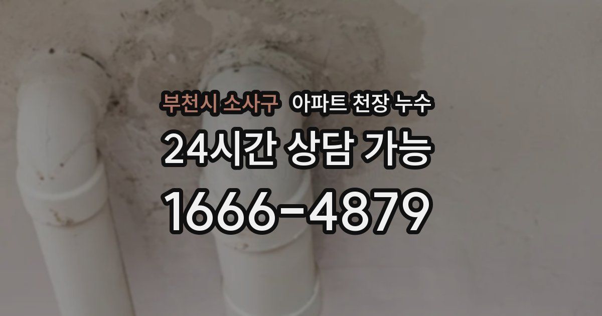 부천시 소사구 아파트 천장 누수