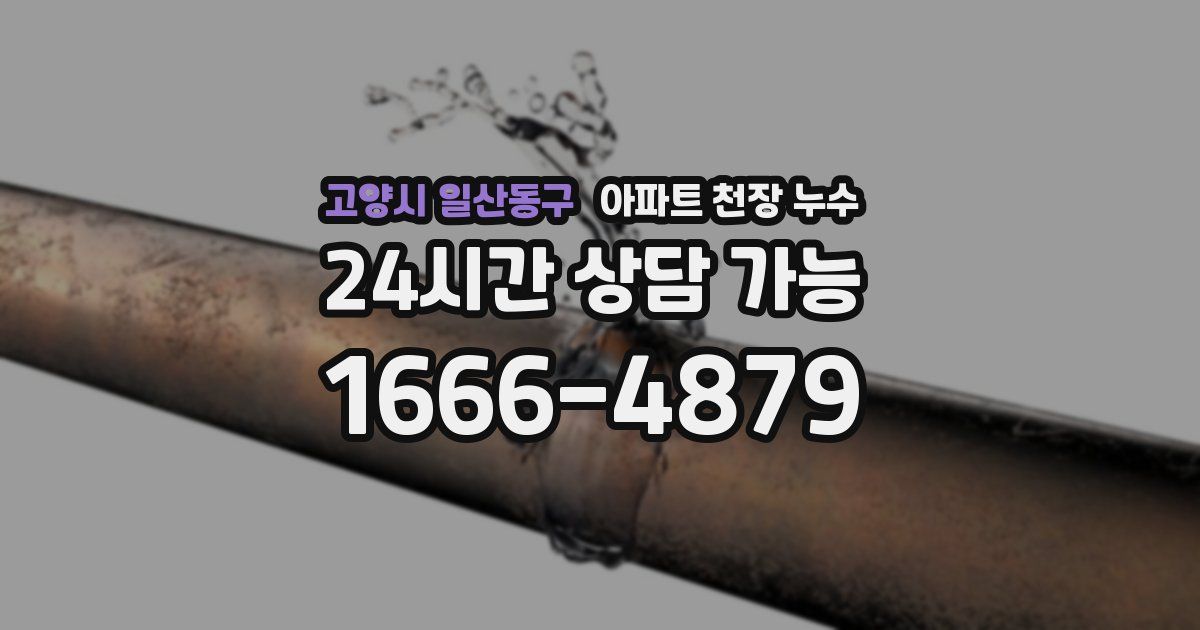 고양시 일산동구 아파트 천장 누수