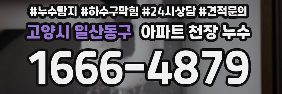 고양시 일산동구 아파트 천장 누수